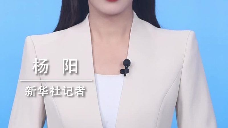 Excel数据可视化：掌握十大实用教程，打造专业报告